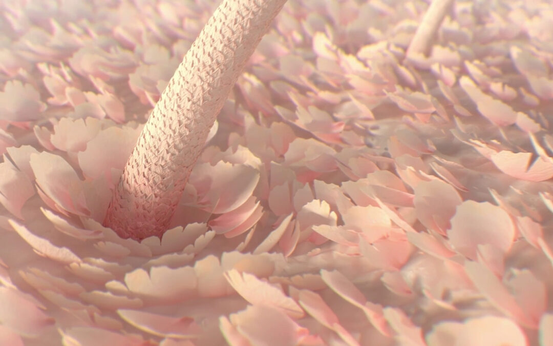 The Kennedy Theory®